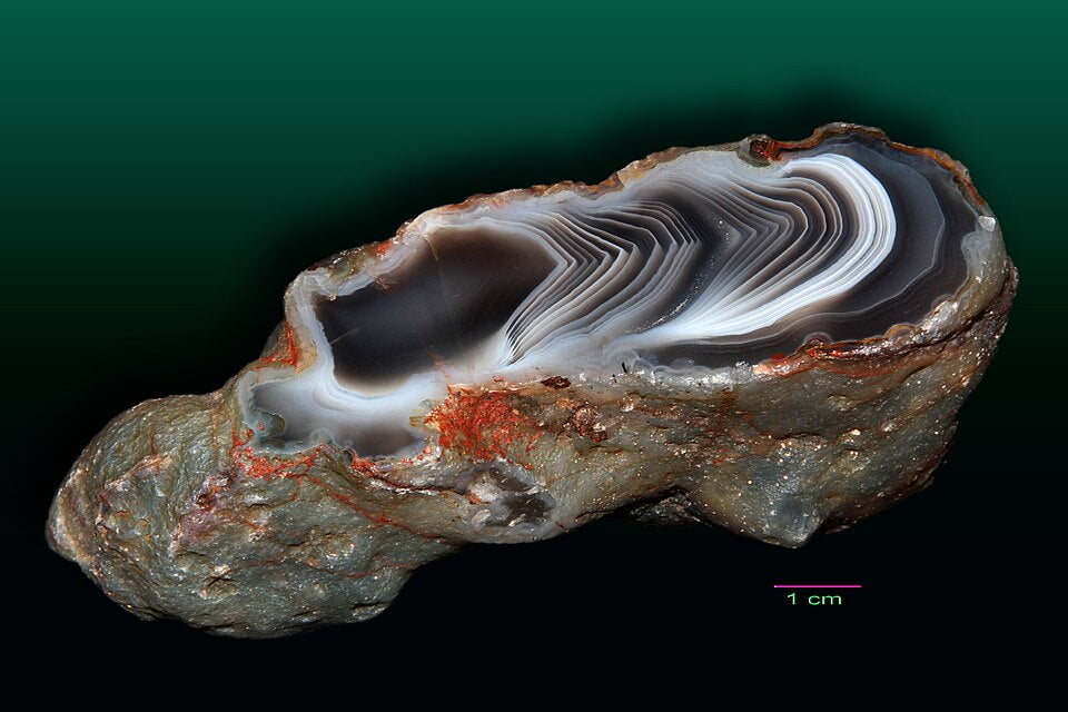 Agate du Botswana : nodule ouvert, enveloppe brute et face sciée